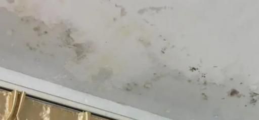 房间墙壁发霉怎么办