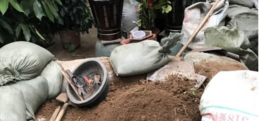 把土壤变成酸性最简单方法