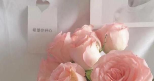 如何治愈霍先生是什么