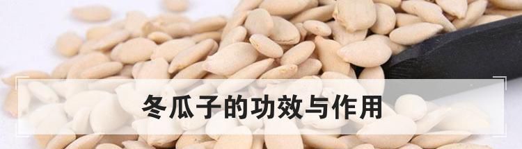 冬瓜子的功效与作用