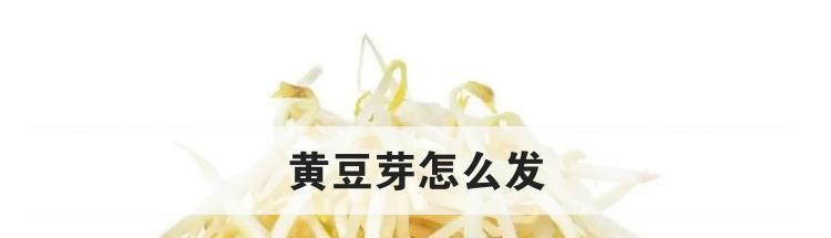 黄豆芽怎么发