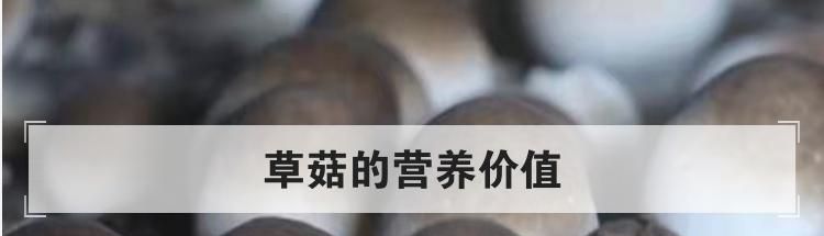 草菇的营养价值