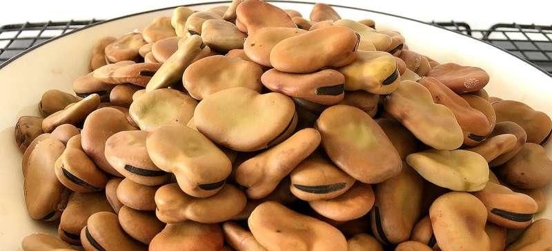 蚕豆的营养价值