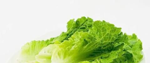 生菜的功效与作用