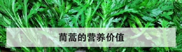 茼蒿的营养价值