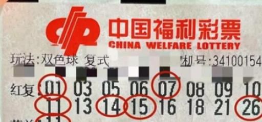 3d试机号今天开机号在哪里看？