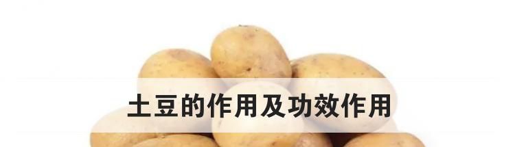 土豆的作用及功效作用