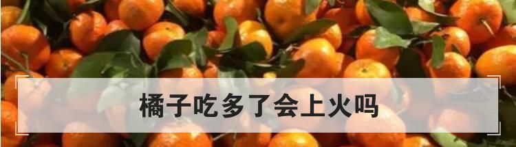 橘子吃多了会上火吗