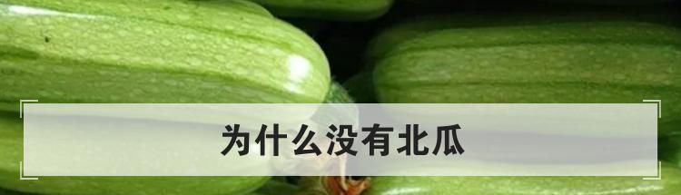 为什么没有北瓜