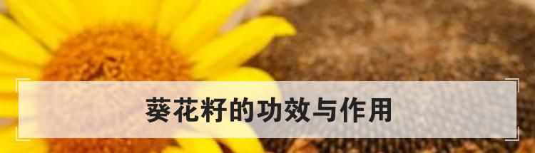 葵花籽的功效与作用