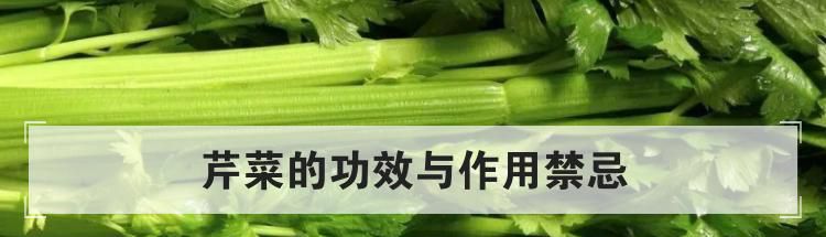 芹菜的功效与作用禁忌