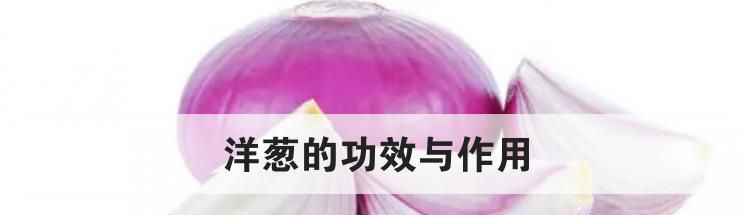 洋葱的功效与作用