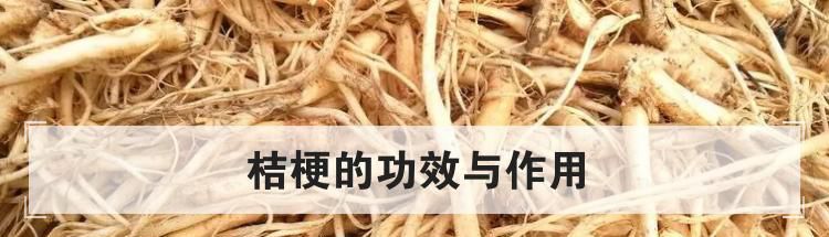 桔梗的功效与作用
