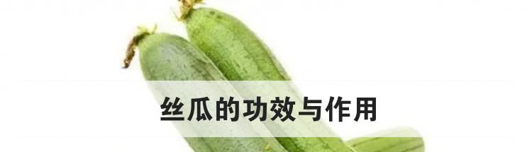 丝瓜的功效与作用