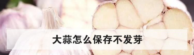 大蒜怎么保存不发芽