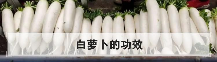 白萝卜的功效