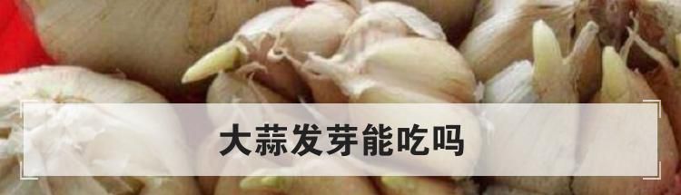 大蒜发芽能吃吗
