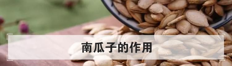 南瓜子的作用