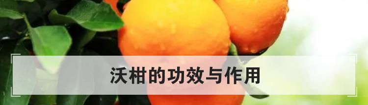 沃柑的功效与作用