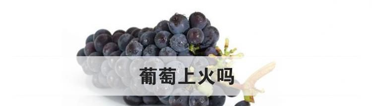 葡萄上火吗