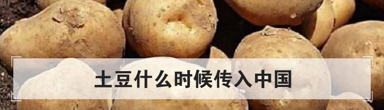 土豆什么时候传入中国