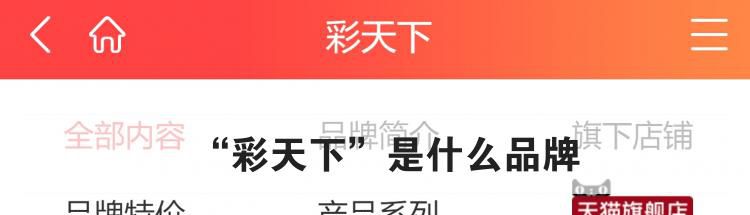 “彩天下”是什么品牌