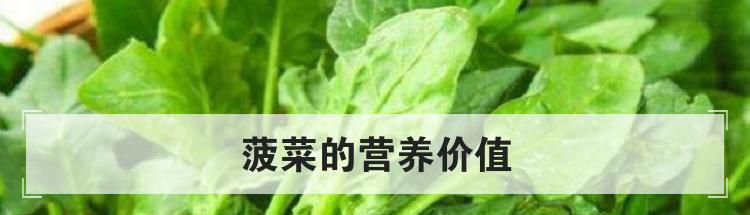 菠菜的营养价值