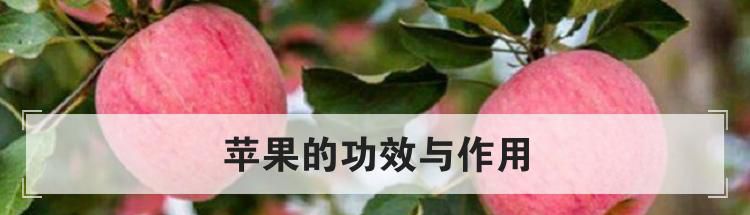苹果的功效与作用
