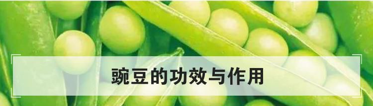 豌豆的功效与作用