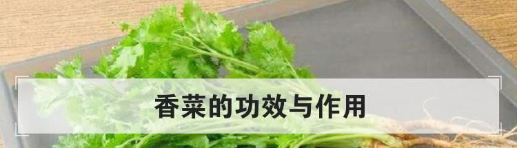 香菜的功效与作用