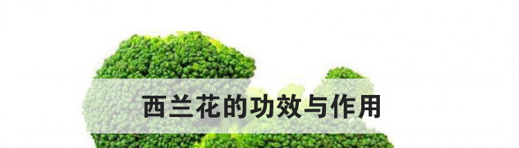 西兰花的功效与作用