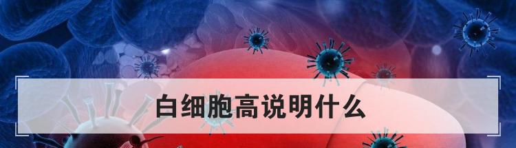 白细胞高说明什么
