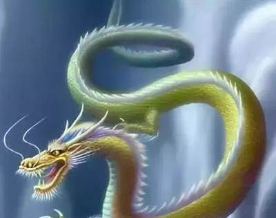 五门六肖是指哪个生肖？