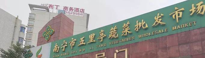南宁哪里有菜种卖？