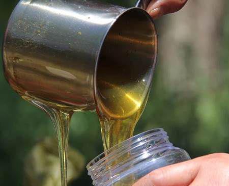常喝蜂蜜好吗？