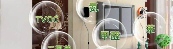 吸附甲醛最好的东西是什么？