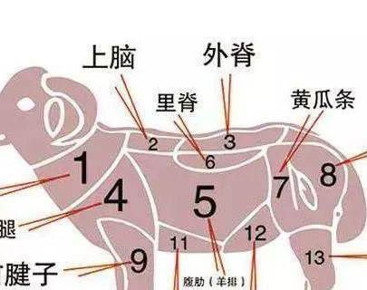 烤奶脬是什么部位？