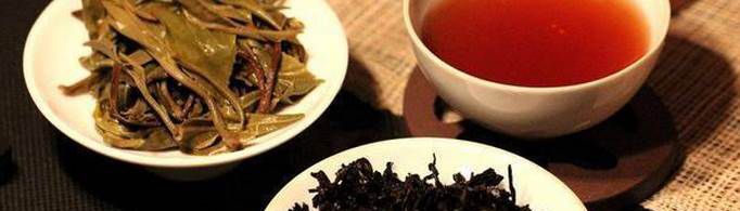 识别普洱茶的最好方法是什么？