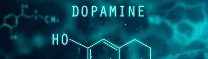 多巴胺的作用是什么？