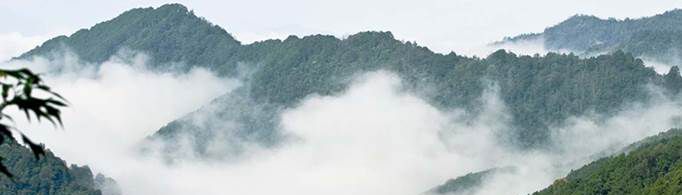 哀牢山为什么叫哀牢山？