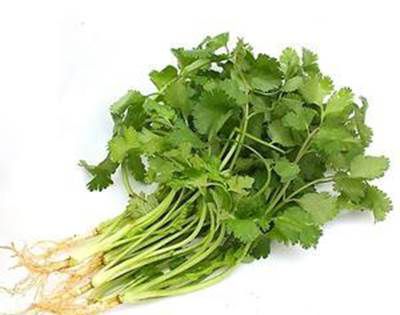 潮汕香菜又叫什么名字？