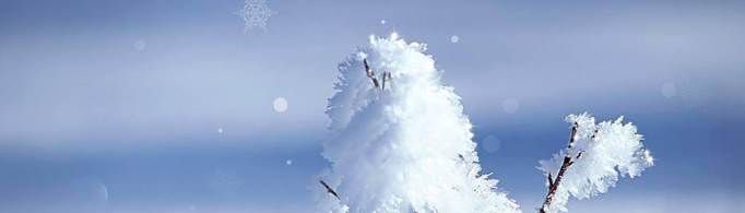 雪的文案有哪些？