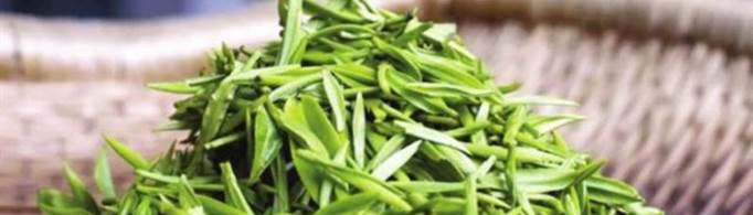 中国哪个省的茶叶最好？