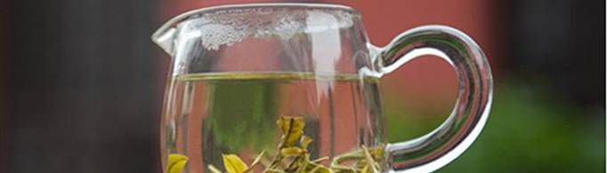 口碑最好的茶叶是什么茶？