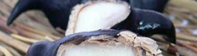 菱角怎么吃？