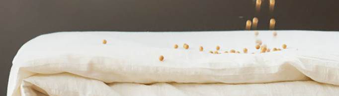大豆纤维被和棉花被哪个好？