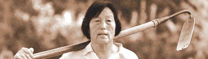 劳模申纪兰有几个孩子？