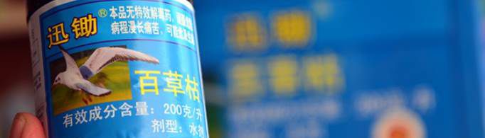 百草枯是什么东西？