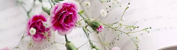 教师节送什么花给老师比较适合？