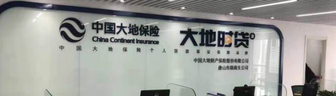 中国大地保险怎么样？